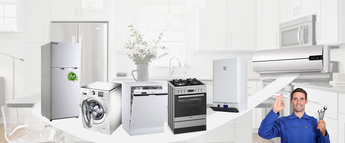 Taşkent Electrolux Servisi